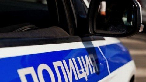 В Павловском районе полицейские задержали подозреваемого в незаконной рубке пяти берез